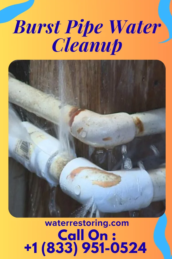 Burst Pipe Water Cleanup in Lac La Belle, WI
