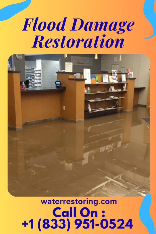 Flood Damage Restoration in Lac La Belle, WI