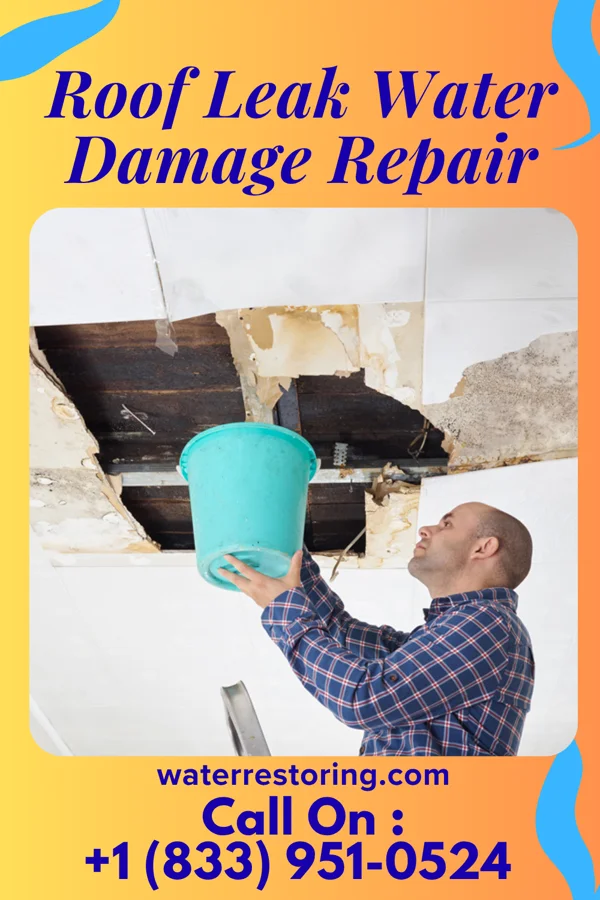 Roof Leak Water Damage Repair in Lac La Belle, WI